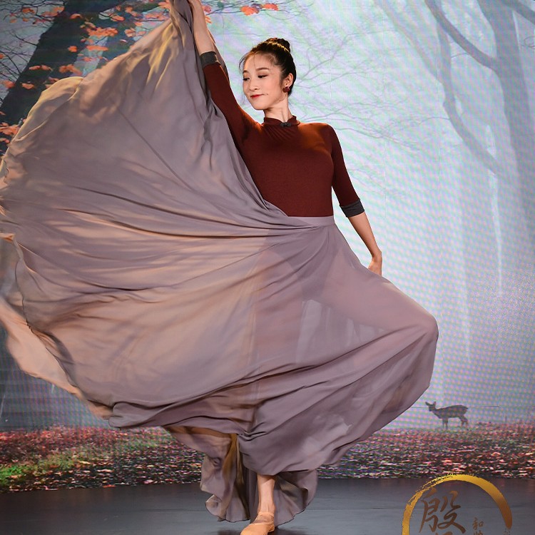 柏屋殷硕芭蕾舞蹈演出服成人民族古典身韵裙现代长摆裙120145018
