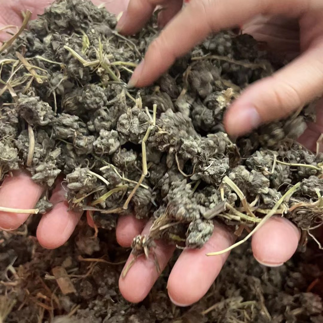 【青总甄选】大自然 爪草 50g 250g 500g 