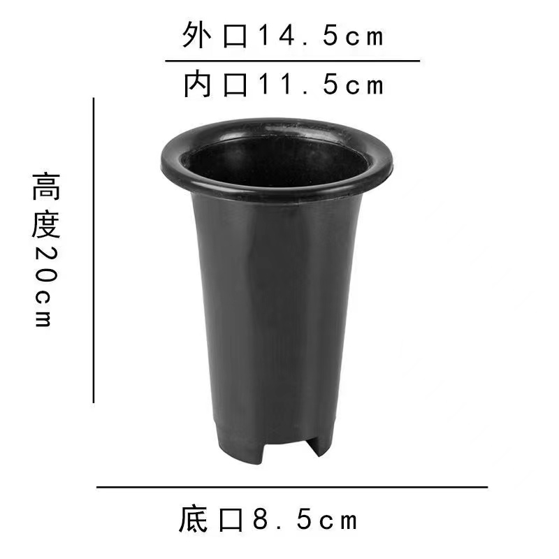 靖·梓豪园兰花专用塑料环保种植盆透气排水耐用阳台客厅绿植简约