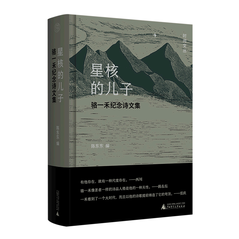 星核的儿子:骆一禾纪念诗文集 新华书店正版