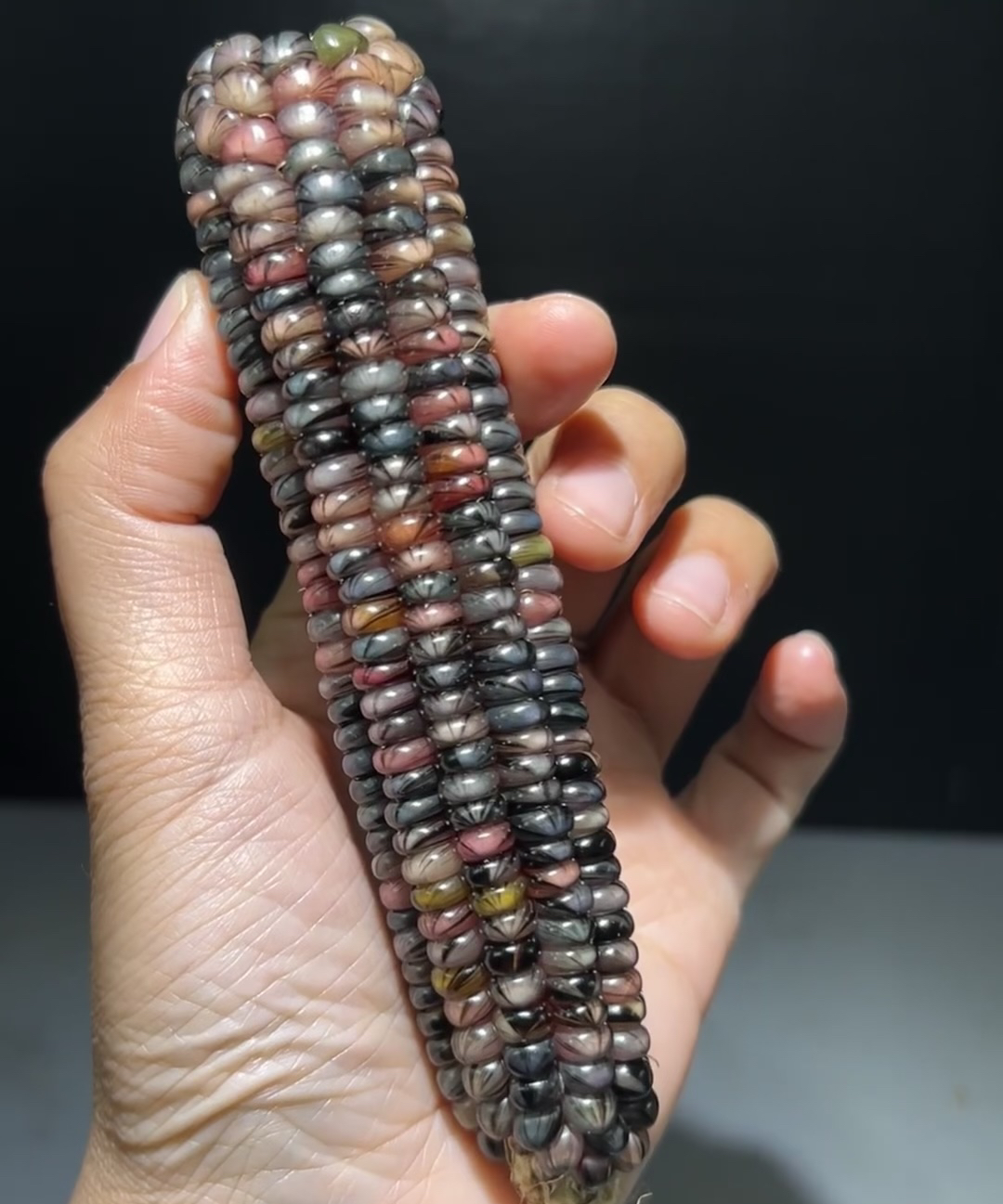 文玩小玉米毛料.