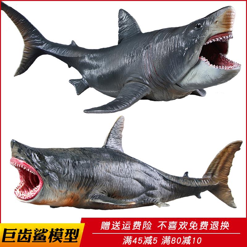 仿真海洋生物史前巨齿鲨模型动物大白鲨玩具双髻鲨锤子鲨儿童礼物