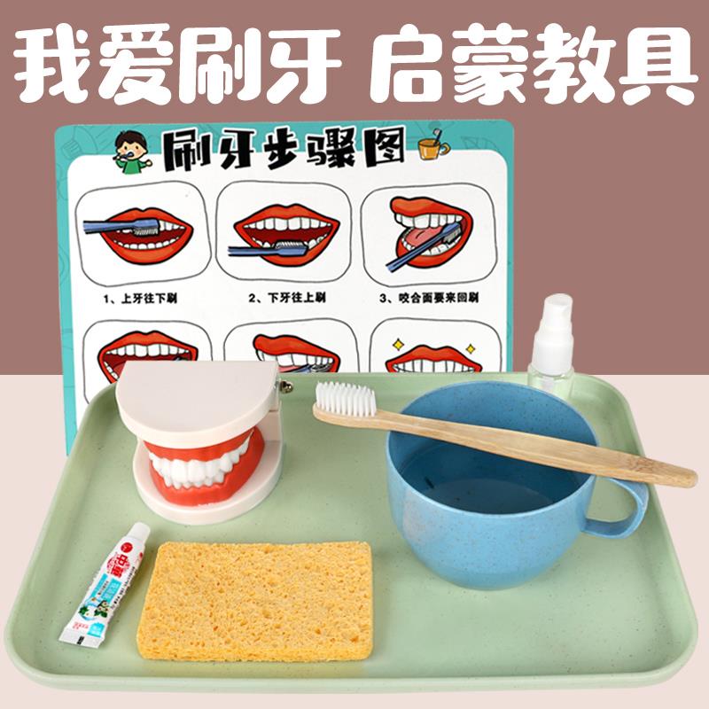 蒙氏早教小班生活区刷牙练习教具牙齿模型演示幼儿园小班区域材料