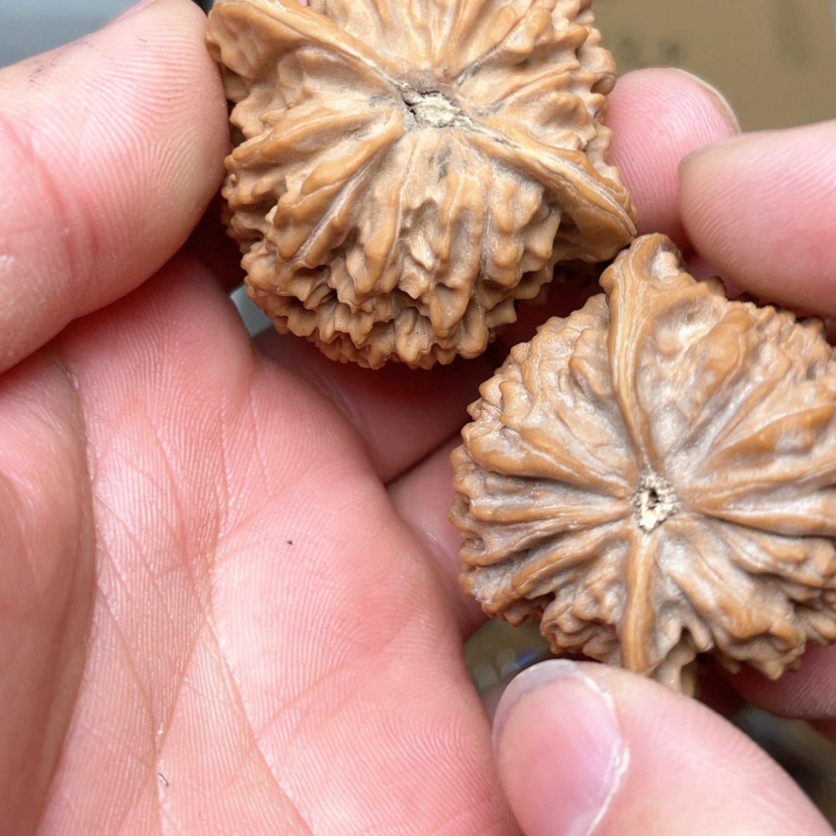 【闪购商品】文玩核桃吊坠福*6