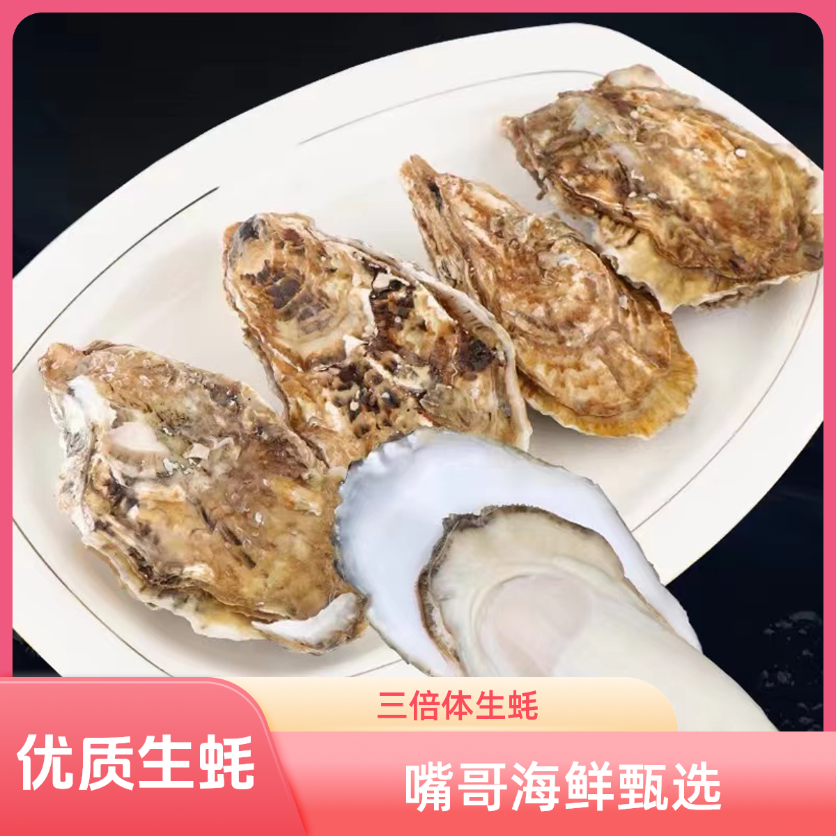 连云港发货 三倍体生蚝 包肥包新鲜 5斤装顺丰冷链包邮