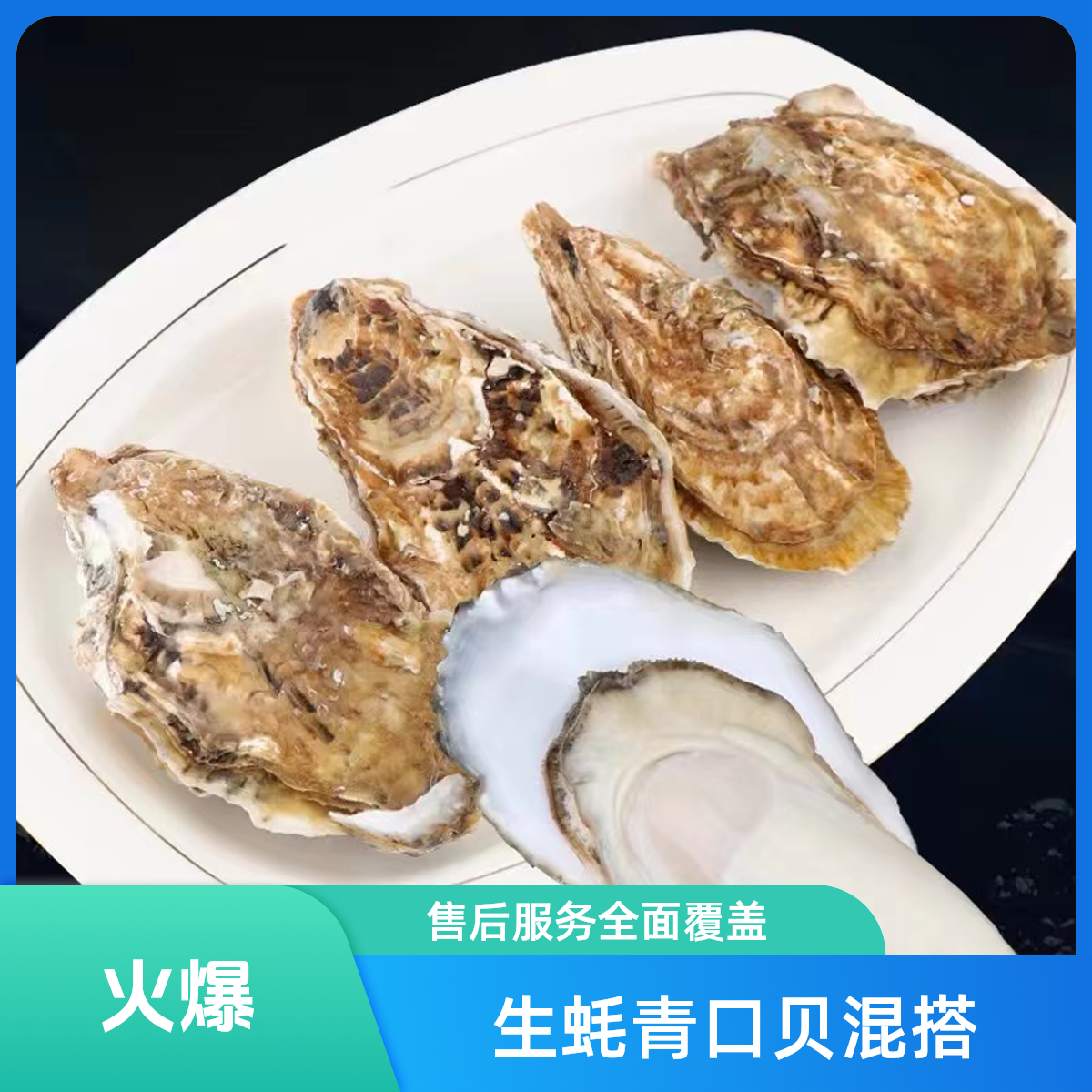 混搭生蚝3斤青口贝3斤连云港发货包肥包新鲜顺丰冷链包邮特大
