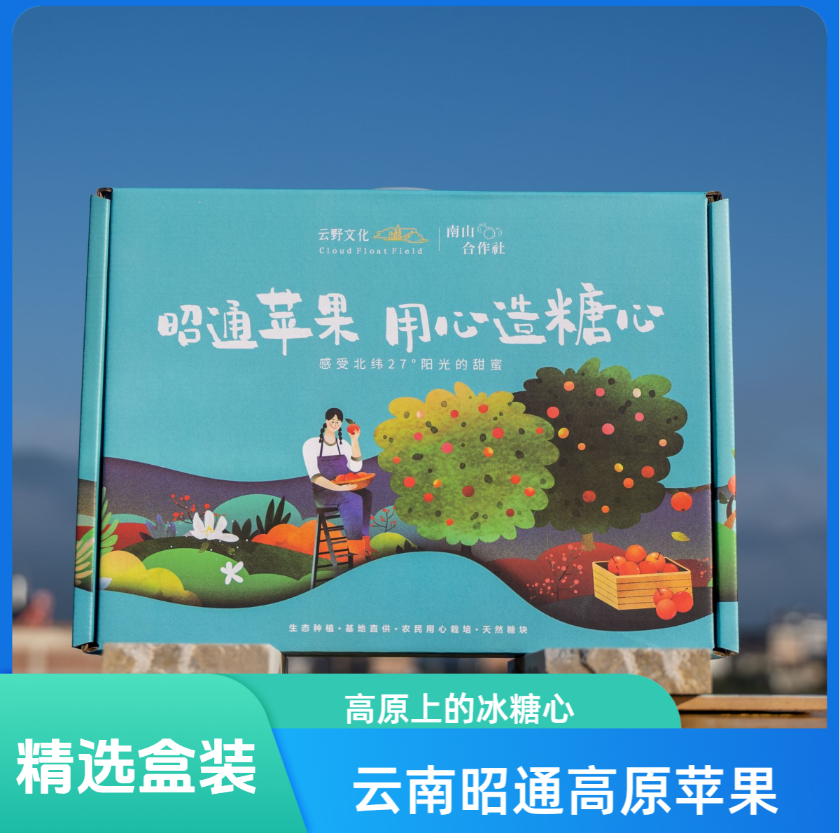 【昭通苹果文艺盒装精选】昭通苹果冰糖心高原苹果文艺盒装精选12枚