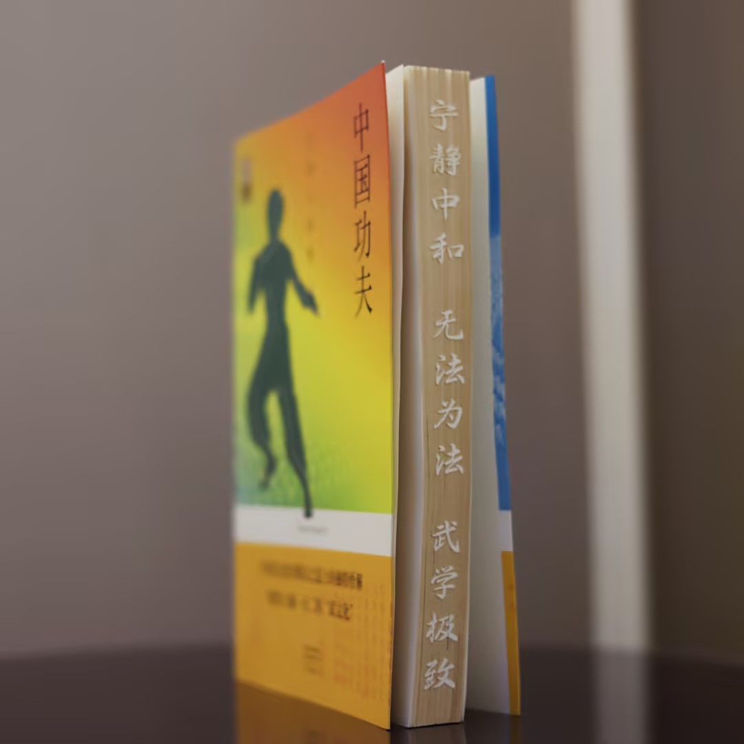 微瑕 （特装花口版）中国功夫 王广西 王萌著