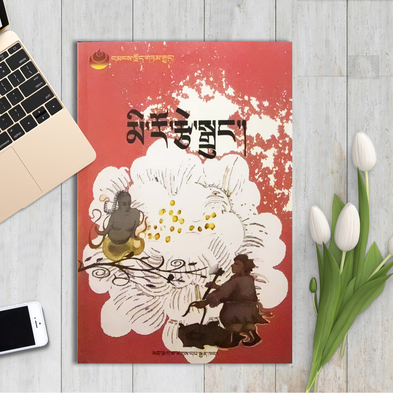 说不完的故事：藏文书籍藏文版故事书故事书籍