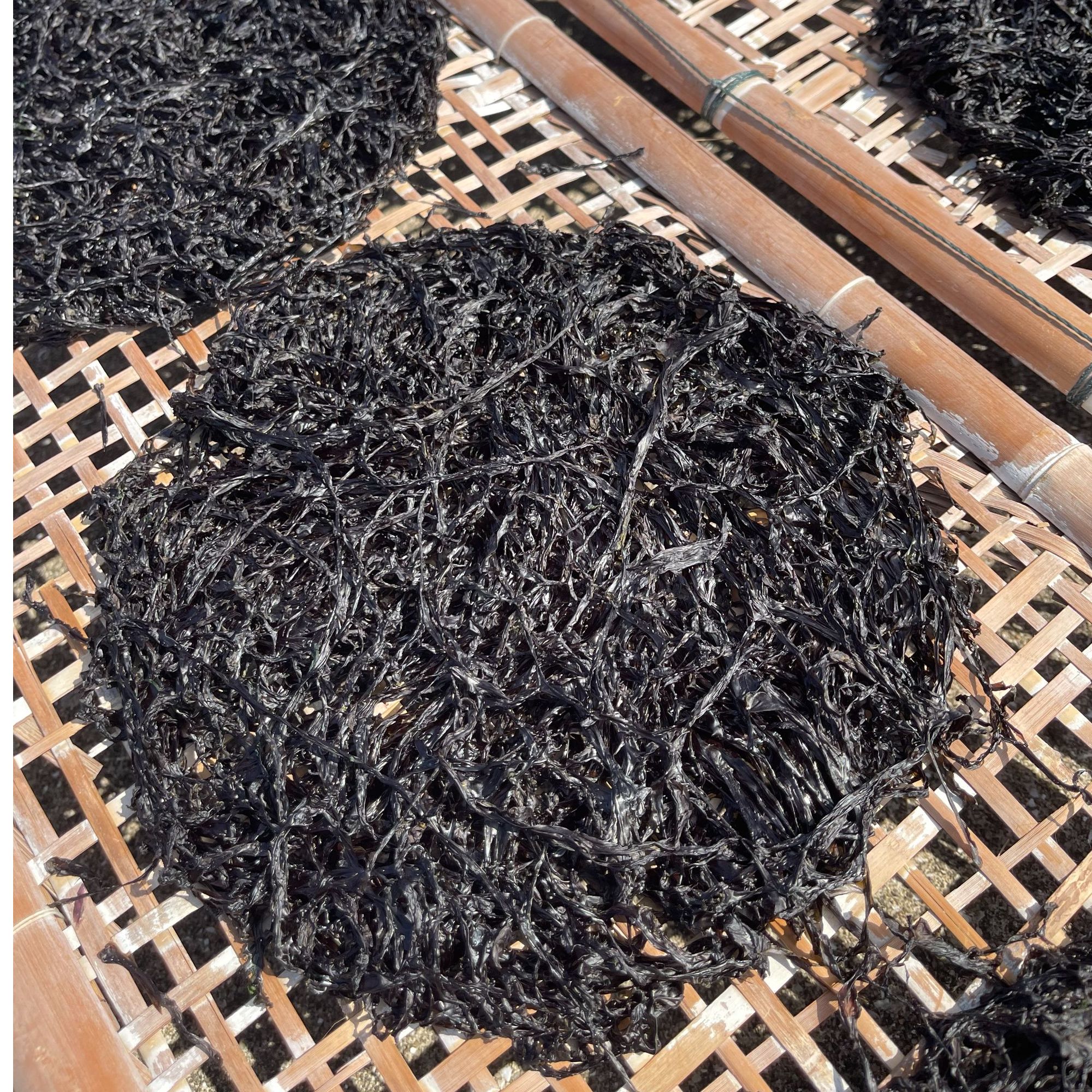 【正宗饶平海山头水紫菜】