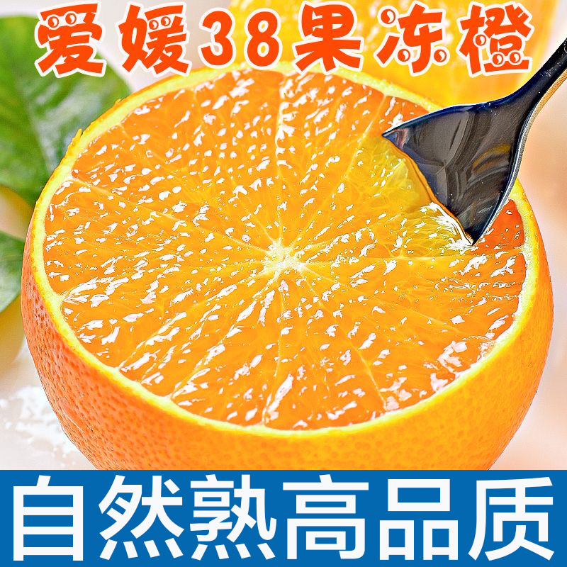 【内蒙保温包邮】四川爱媛38号柑橘果冻橙新鲜水果应季6斤9斤净重