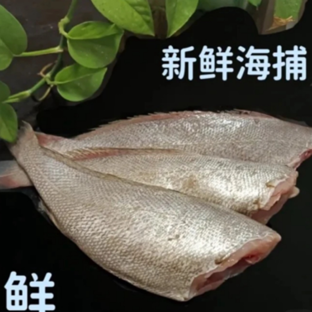 连云港发货 海鱼去头去内脏鳘鱼5斤（一斤3-4条）