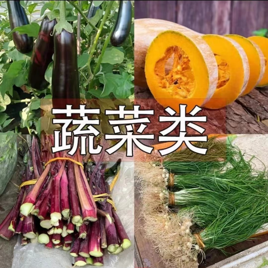 正宗福建屏南农家新鲜农产品无沙无盐天然现摘现发