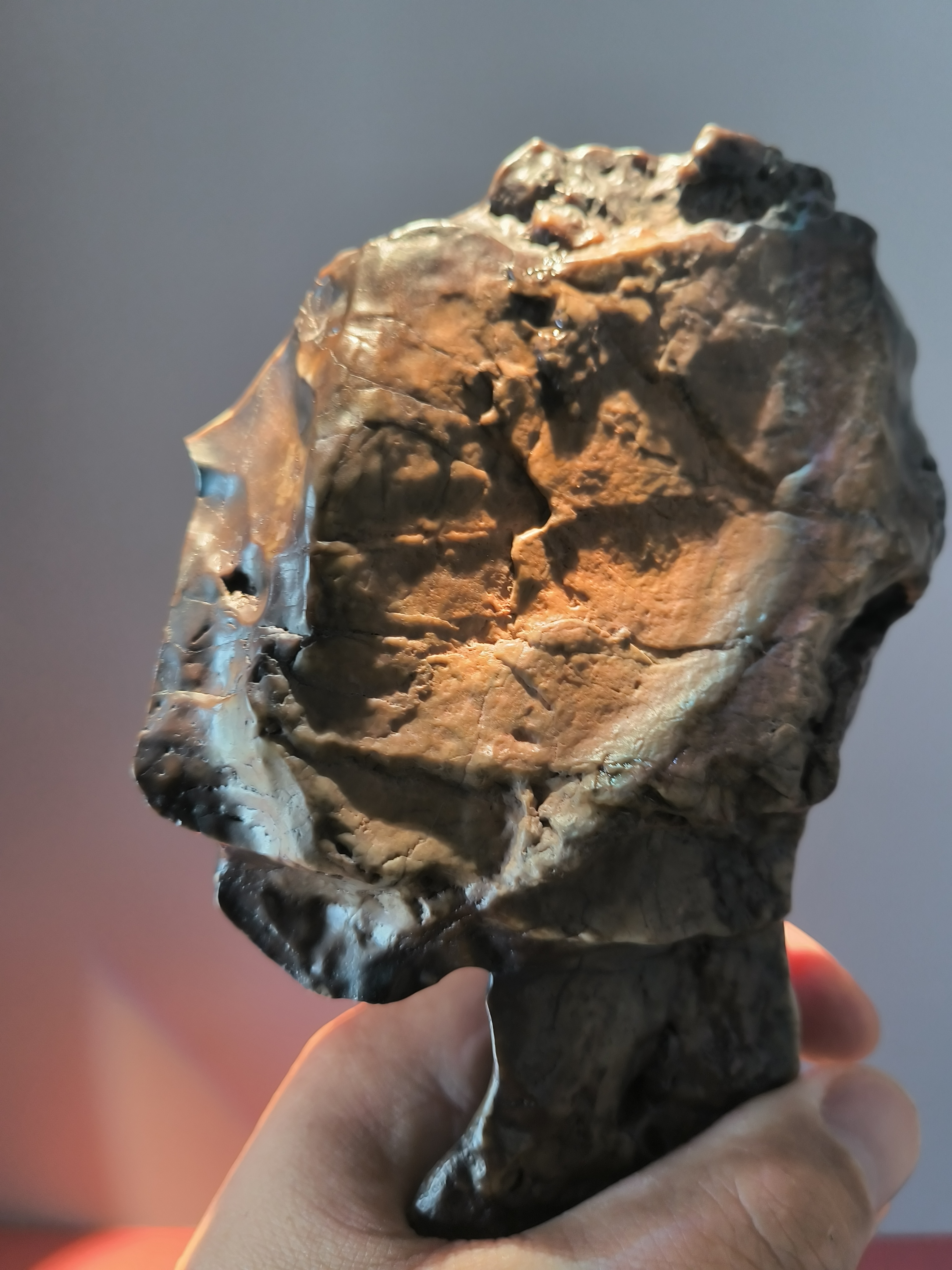 内蒙古阿拉善天然奇石