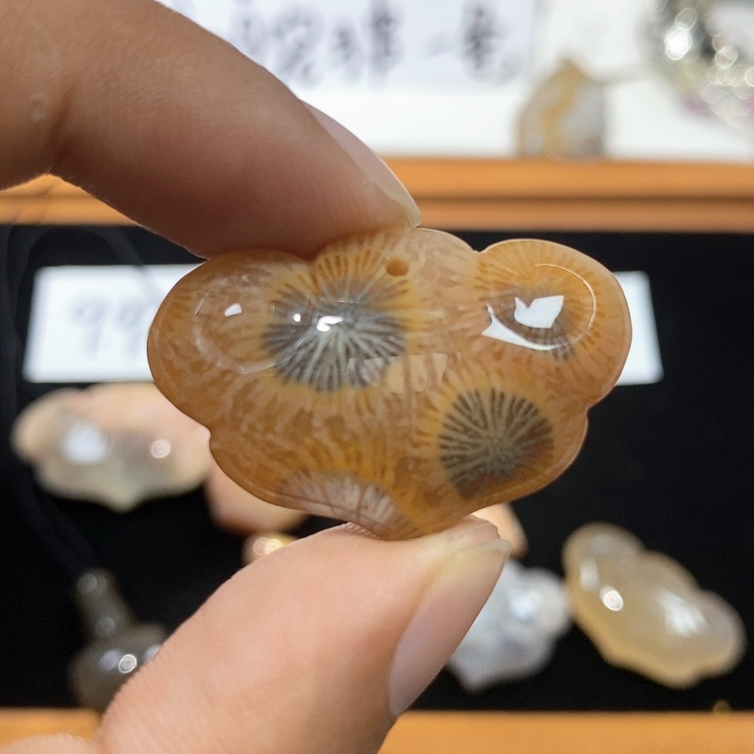 硅化珊瑚（珊瑚玉）颈饰未镶嵌94