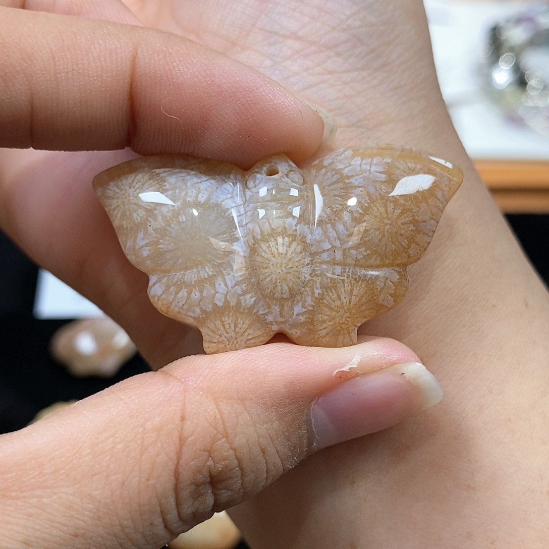 硅化珊瑚（珊瑚玉）颈饰未镶嵌126