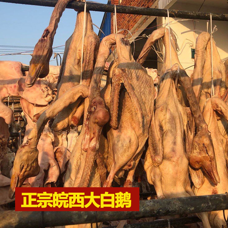 正宗农家散养鹅风干咸老鹅安徽特产白鹅腌制腊鹅土老鹅传统腊咸鹅