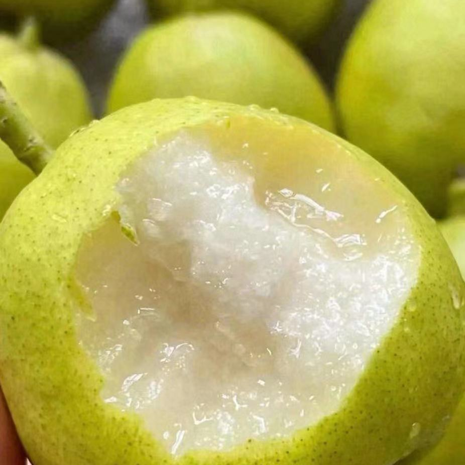 库尔勒香梨8个装（2-2.3斤左右）