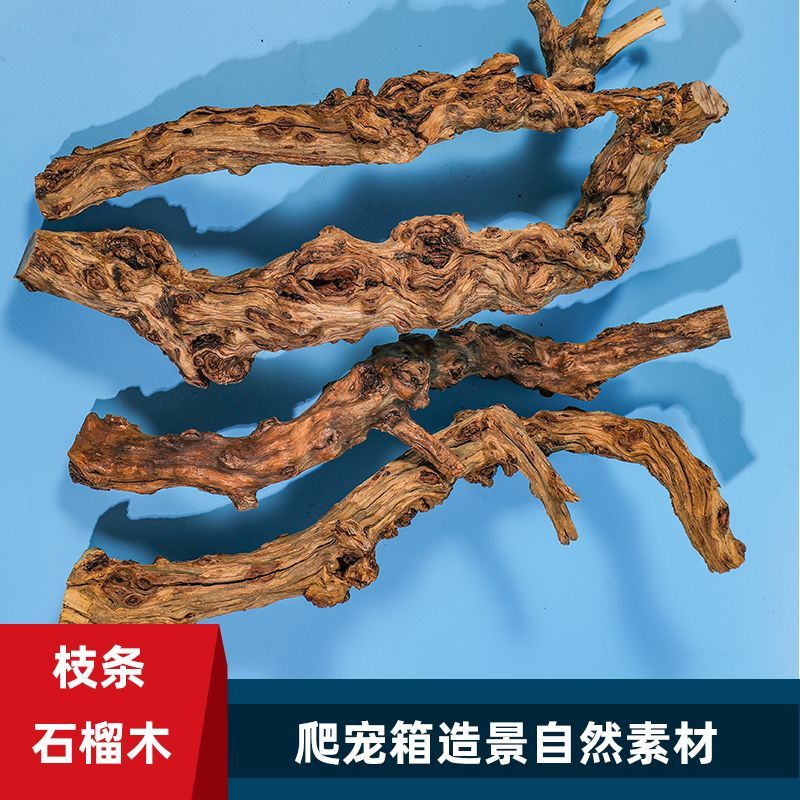 天然石榴木枝条爬宠箱造景装饰枯木寄居蟹鬃狮蜥攀爬木棍