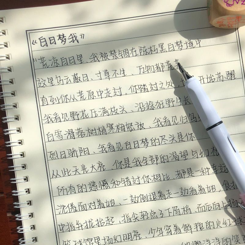 江潮体手写行楷字帖中学生漂亮楷书字体成年男钢笔硬笔书法练字本