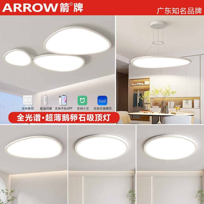 箭牌超薄吸顶灯简约现代鹅卵石客厅灯家用房间卧室创意灯具套餐