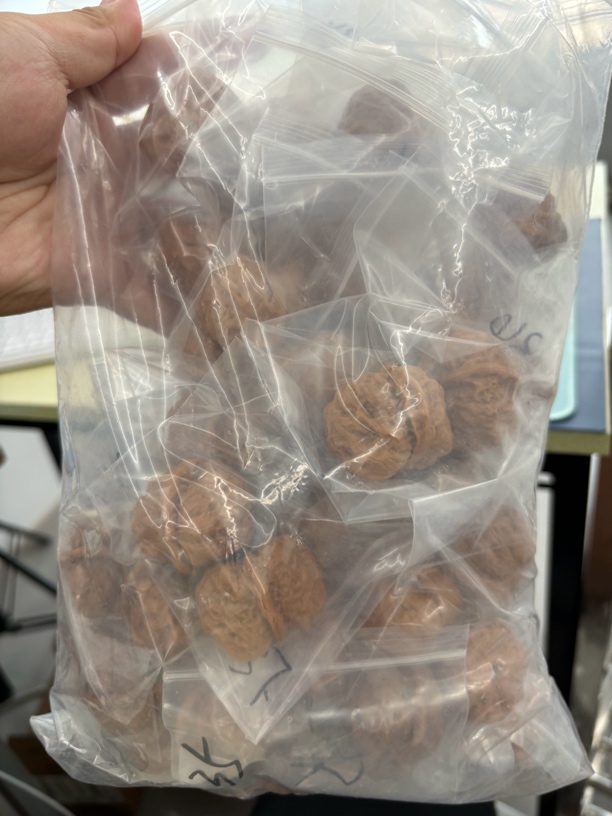 文玩核桃超级福袋一对核桃