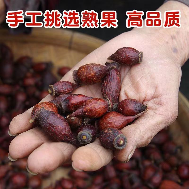 【精选】山货金樱子250克/500克金樱子刺梨子山鸡头子泡酒材料