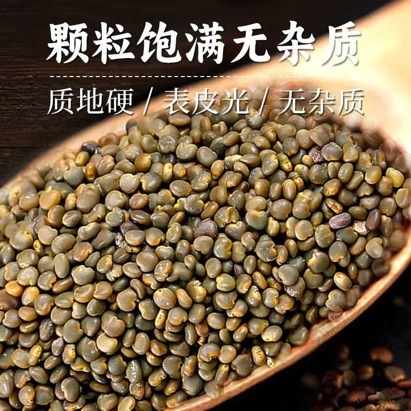 【沙苑子】正宗陕西沙苑子干净无杂精选泡水泡酒颗粒饱满可搭枸杞