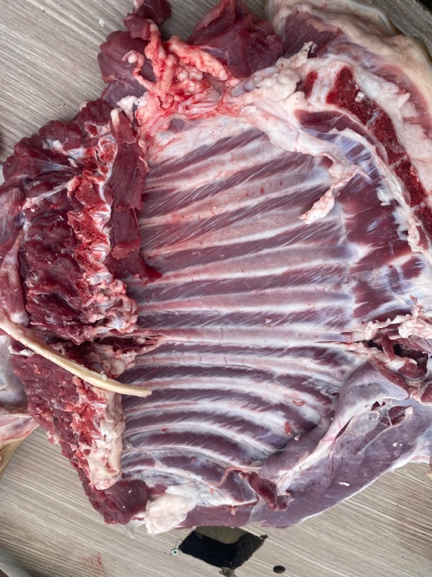 优质放养川南黑山羊