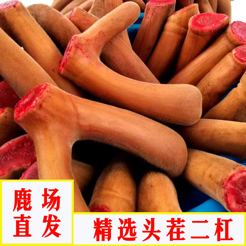 【250g-300g】牧场直发臻贵头茬鹿茸整根不切重量误差50g（介意勿拍）