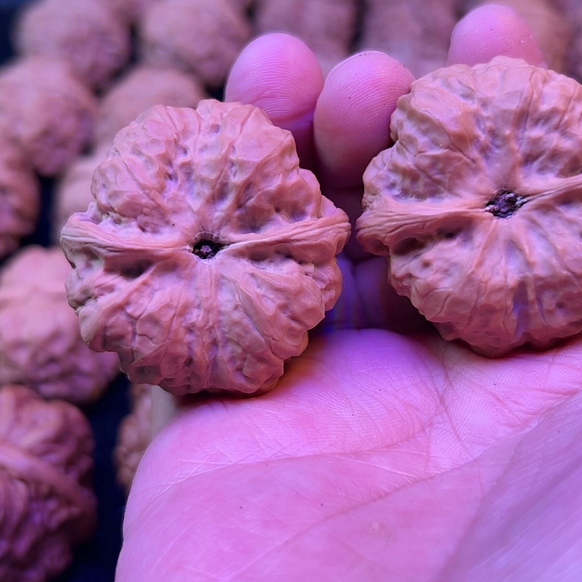 【闪购商品】文玩核桃吊坠鹤**皋