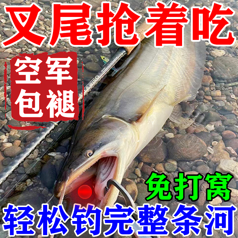 叉尾鱼饵料叉尾软饵叉尾鮰叉尾鲶冬季野钓诱食剂黑坑湖泊四季饵料