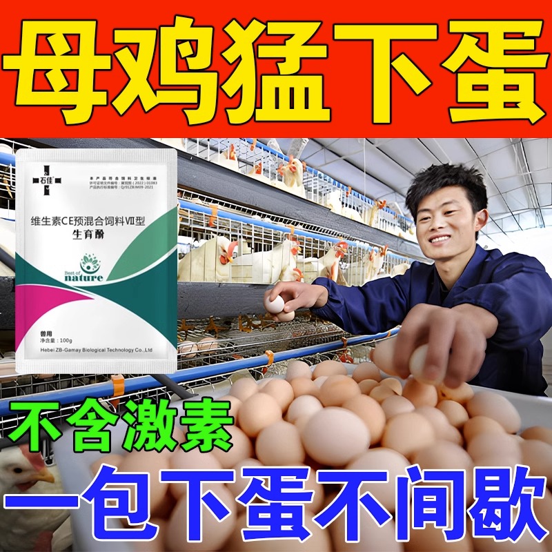 鸡下蛋专用蛋多多增蛋宝鸡不下蛋鸽子鸡鸭鹅产蛋灵产蛋专用饲料