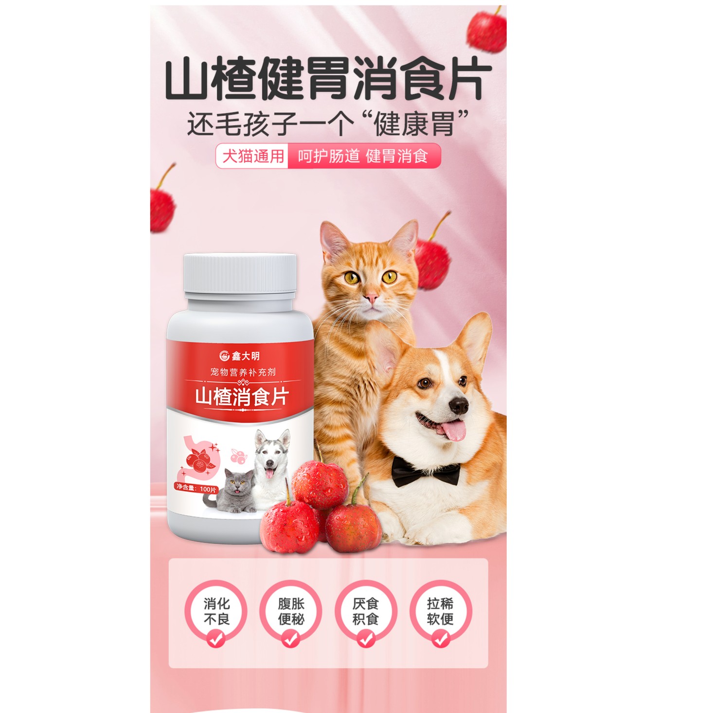 山楂消食片狗狗消化不良厌食