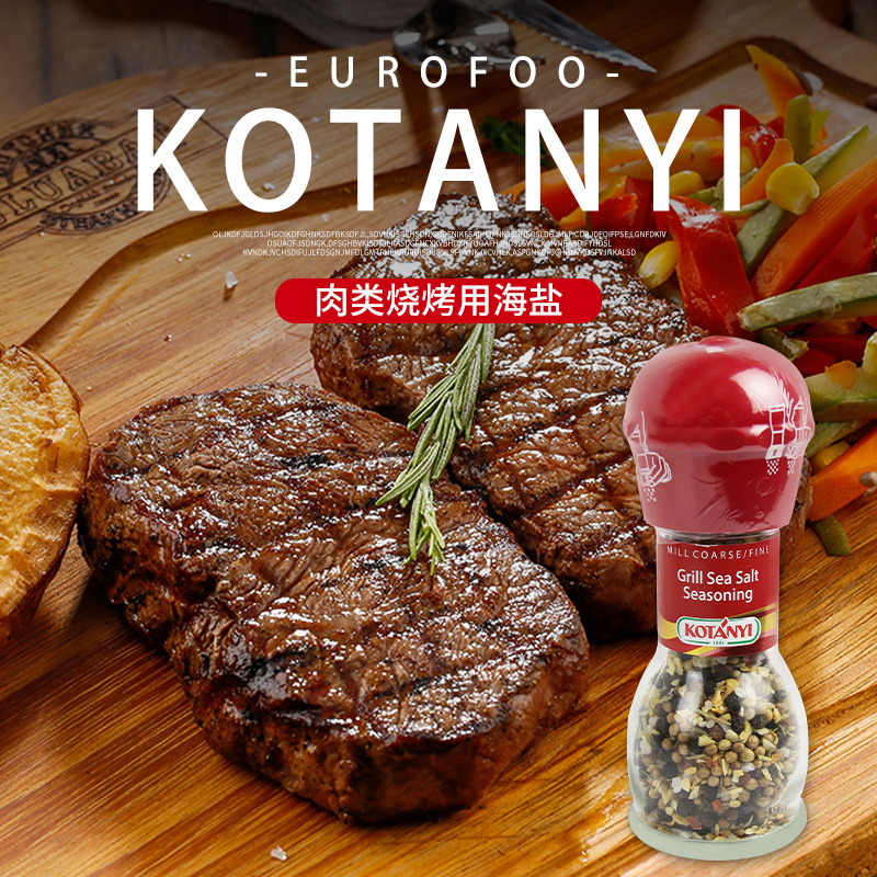 可达怡海盐烧烤调料45g 肉类烧烤牛排鸡翅含 海盐胡椒 迷迭香辣椒