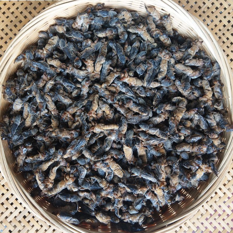 土蝼蛄100g250g500g干货蝼蛄土狗 拉拉狗精选完整蝼蛄 包邮搭生姜