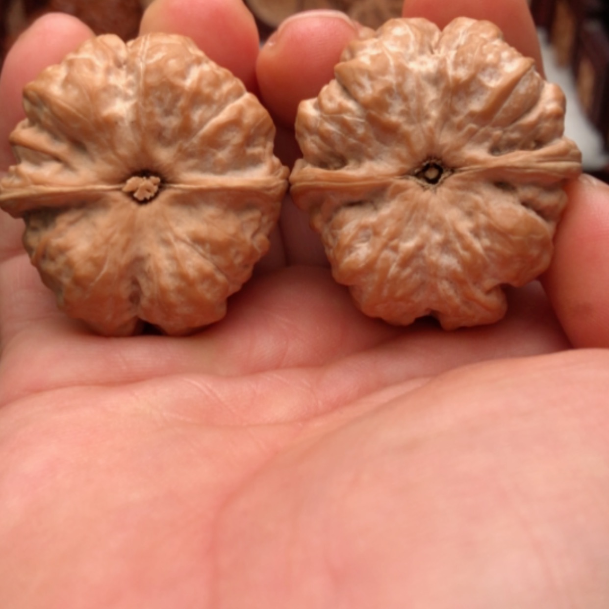 【闪购商品】文玩核桃吊坠王*掰