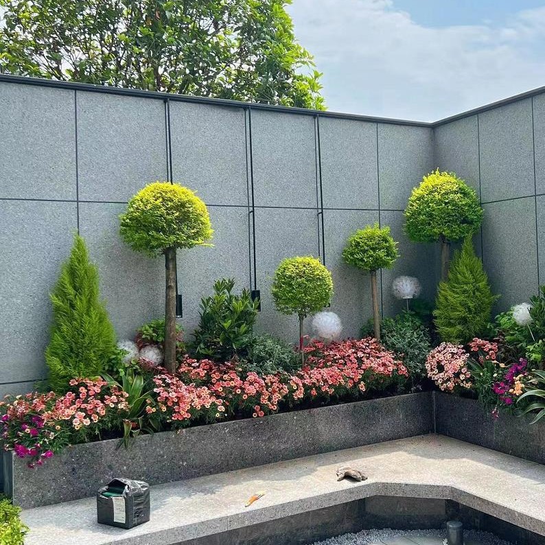 花镜绿植庭院造景花池花箱搭配亮晶贴地球棒棒糖品种绿化植物