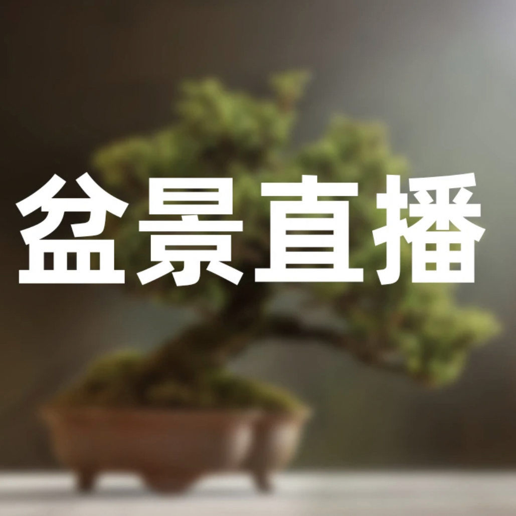 直播盆景链接，实物以直播间为准