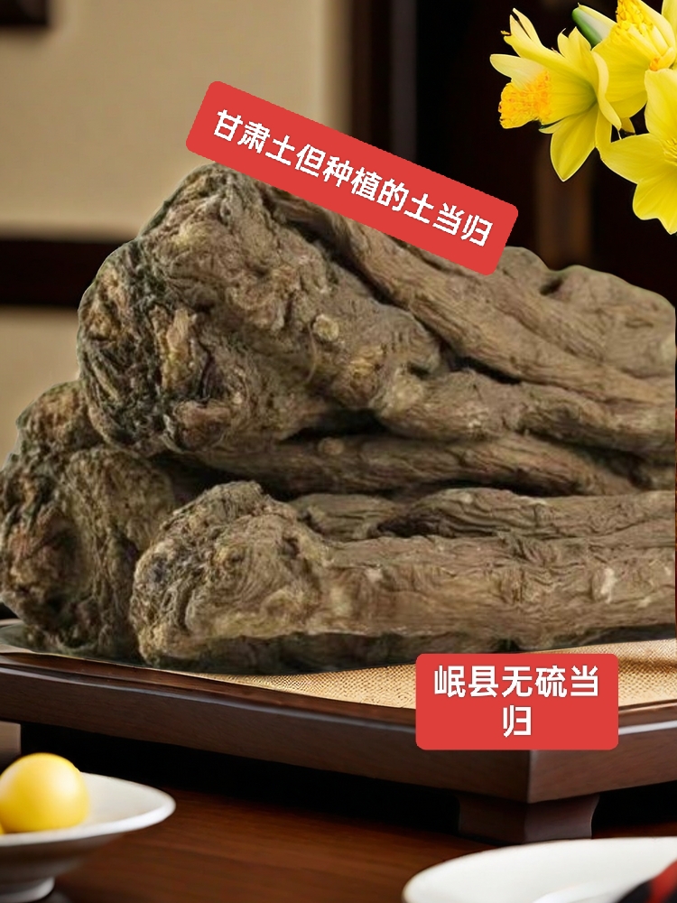 《当归》甘肃岷县当归农家种植煲汤炖肉当归产地直销正宗岷县当归