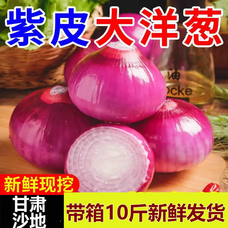 甘肃武威沙地紫皮洋葱带箱10斤包邮应季蔬菜
