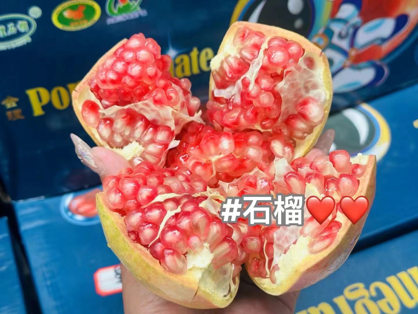 突尼斯软籽石榴（一个）