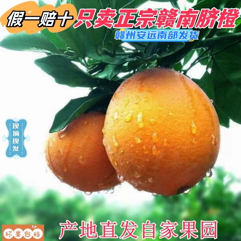 正宗赣南脐橙江西橙子新鲜水果现摘现发赣州安远果园直发10/20斤