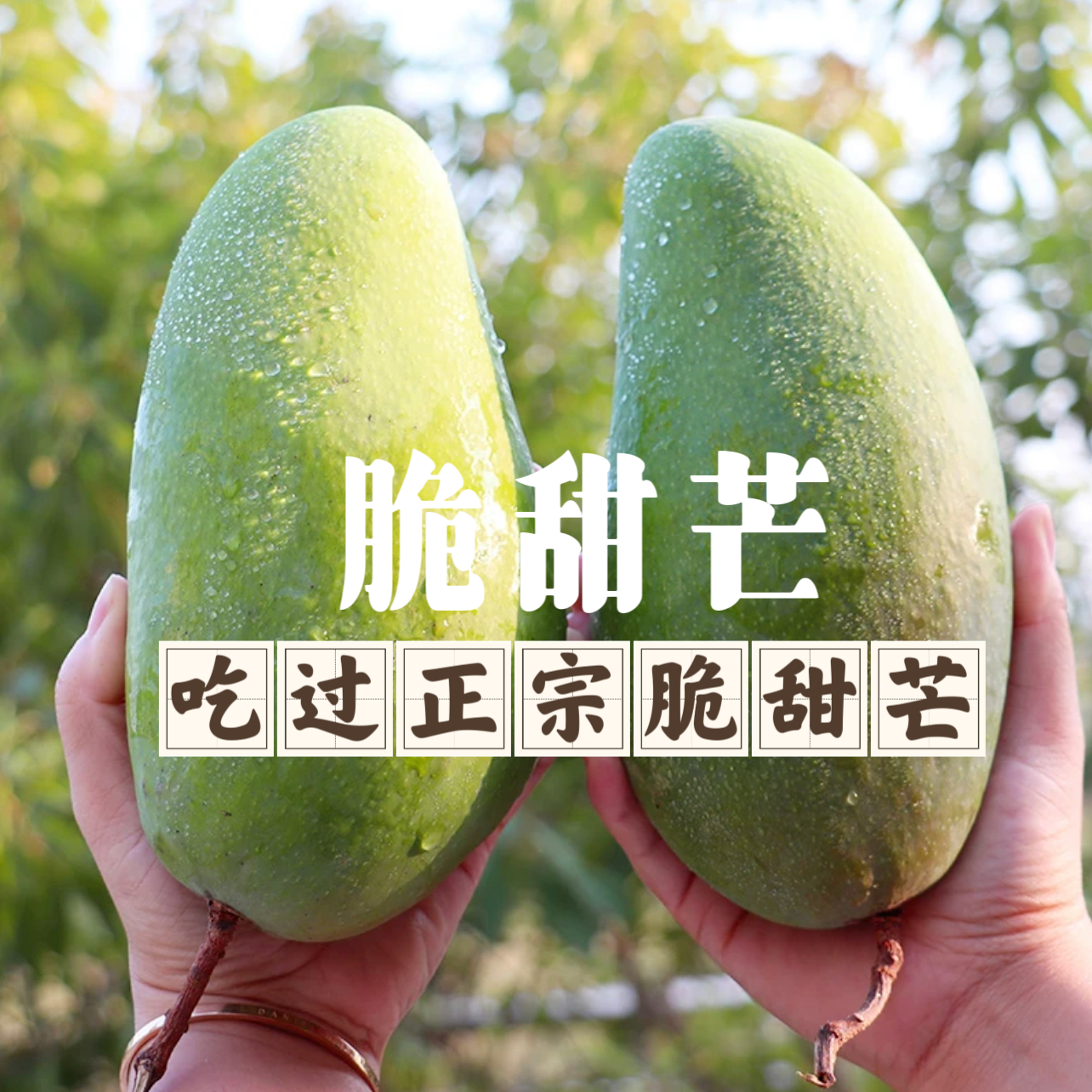 越南进口甜心芒脆甜芒生吃脆甜青芒熟吃软甜批发新鲜小金煌芒水果