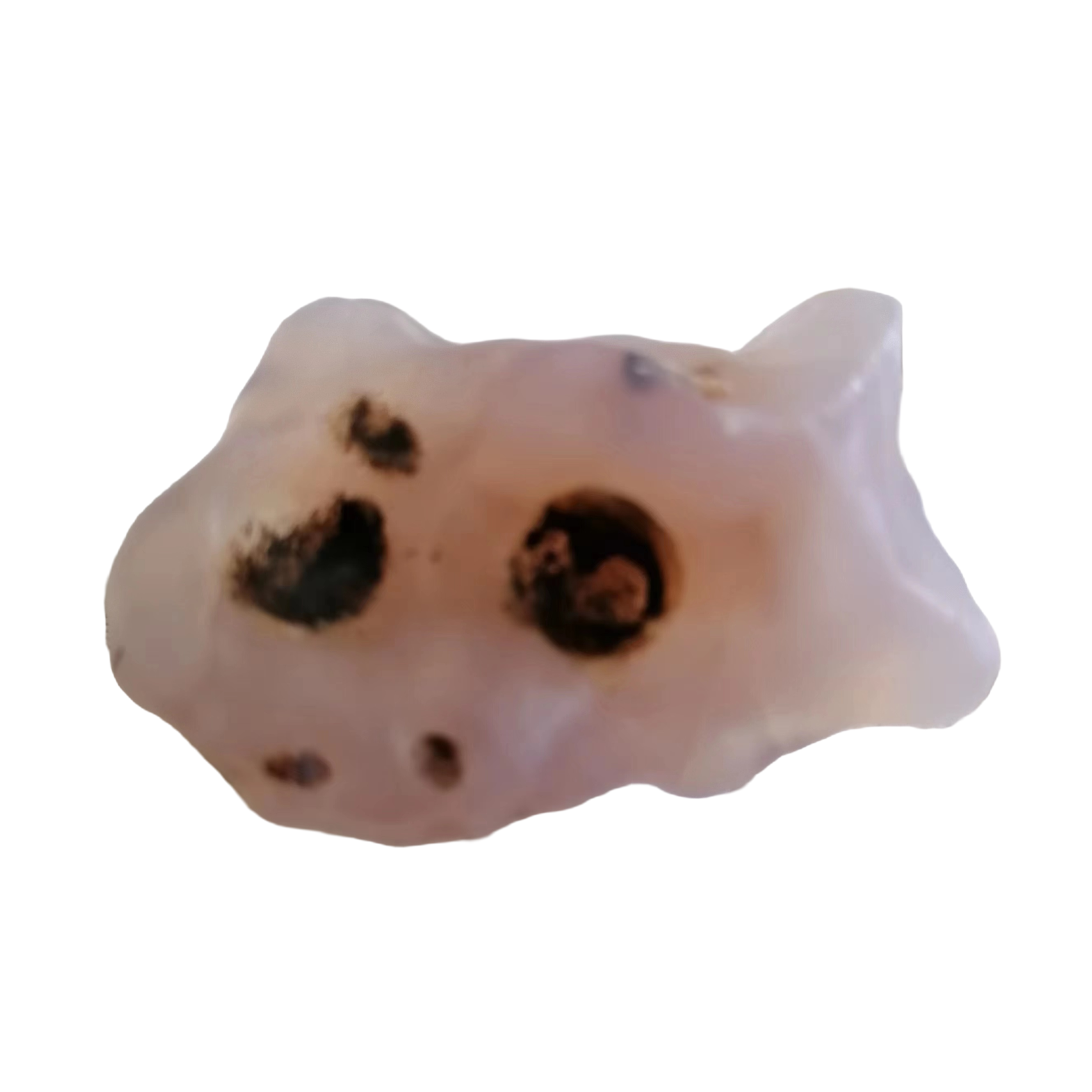 阿拉善奇石头观赏石