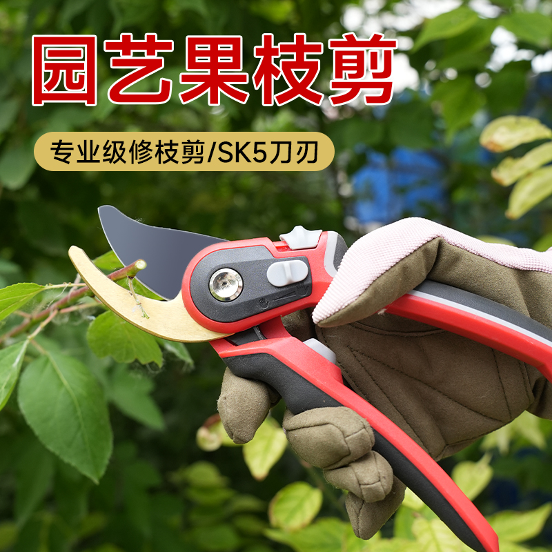 园艺剪果枝剪花木剪园林花卉树枝果树藤蔓剪刀修枝树多功能剪刀