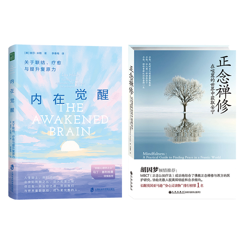 内在觉醒+正念禅修