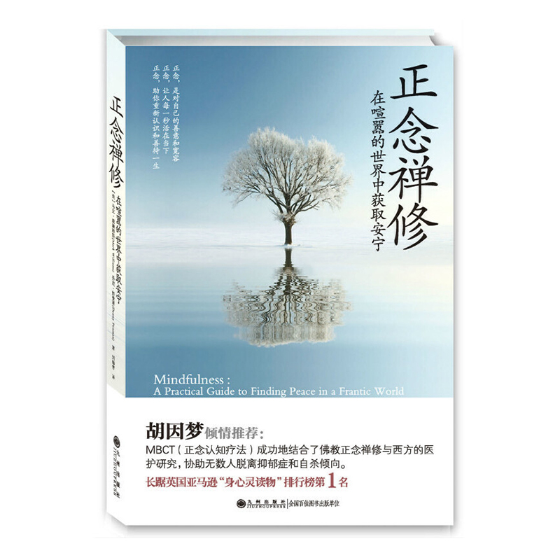 正念禅修——在喧嚣的世界中获取安宁（新版）
