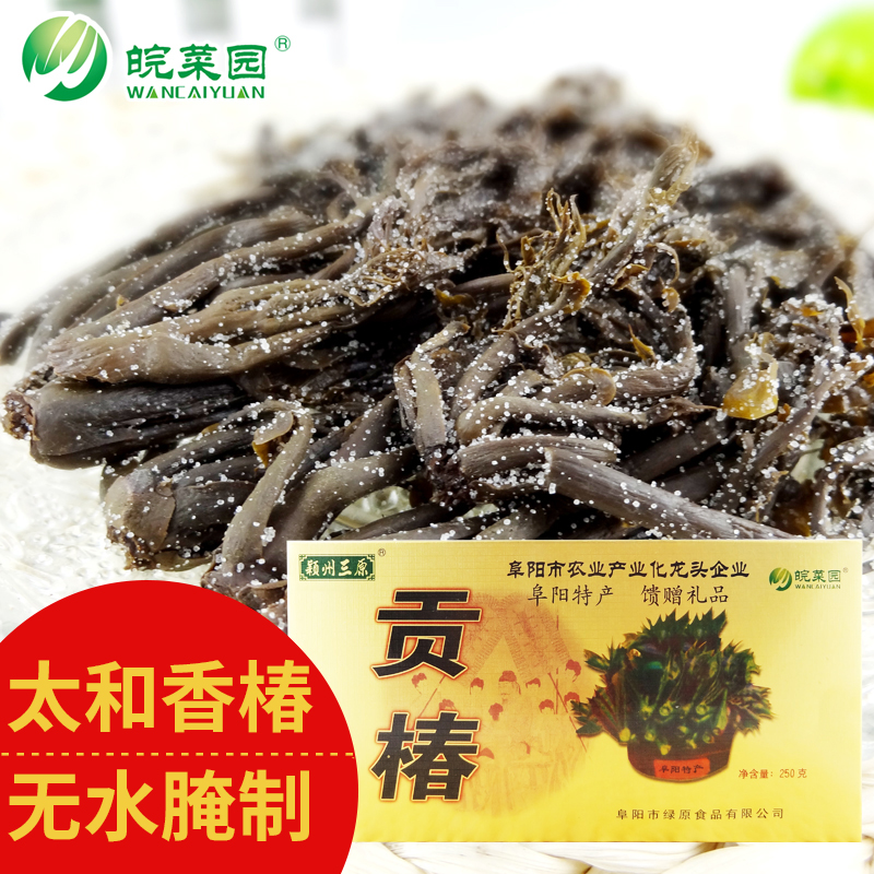 太和香椿芽250g盒装咸菜阜阳特产新鲜腌制香椿头下饭菜酱头茬香椿