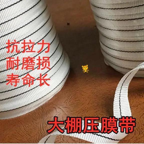 大棚绳子压膜绳固膜尼龙线结实绑带压膜线种植防晒大鹏扁带拉线